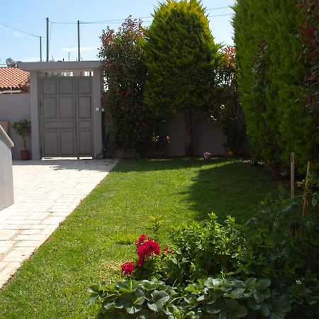 Elias Studio - Near To The Port Of Rafina And The Airport Of Athens Agios Spyridon  Extérieur photo